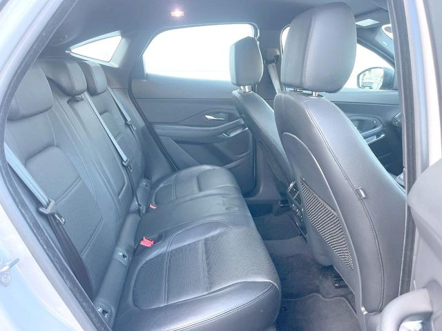 ���㕔���Ȃ��C�ɂȂ�悤�ȃL�Y�E�����ւ��蓙�A�傫�ȃ_���[�W�͂Ȃ��A�ǍD�ȏ�Ԃł��B