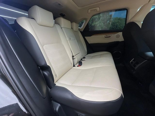 �㕔���Ȃ��C�ɂȂ�悤�ȃL�Y�E�����ւ��蓙�A�傫�ȃ_���[�W�͂Ȃ��A�ǍD�ȏ�Ԃł��B