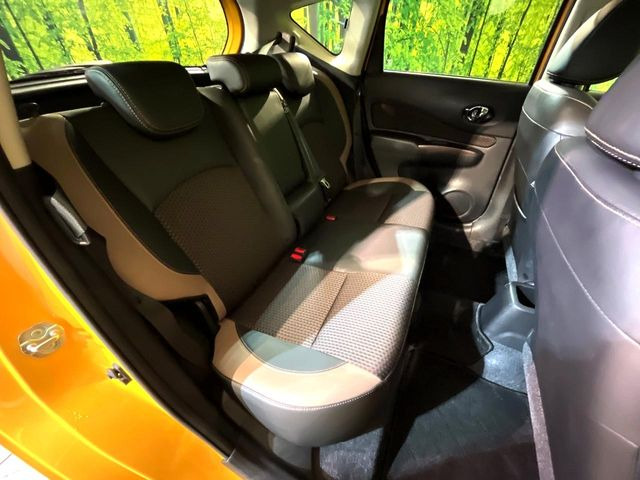 �㕔���Ȃ��C�ɂȂ�悤�ȃL�Y�E�����ւ��蓙�A�傫�ȃ_���[�W�͂Ȃ��A�ǍD�ȏ�Ԃł��B