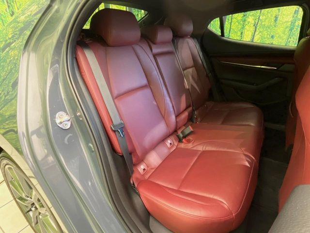 �㕔���Ȃ��C�ɂȂ�悤�ȃL�Y�E�����ւ��蓙�A�傫�ȃ_���[�W�͂Ȃ��A�ǍD�ȏ�Ԃł��B