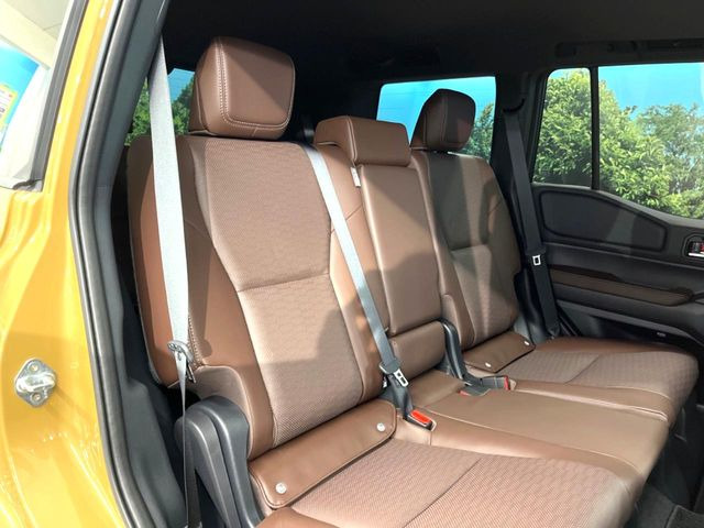 �㕔���Ȃ��C�ɂȂ�悤�ȃL�Y�E�����ւ��蓙�A�傫�ȃ_���[�W�͂Ȃ��A�ǍD�ȏ�Ԃł��B