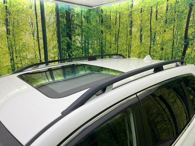 �y�T�����[�t�z�J���������Ղ�̊󏭑����A�T�����[�t����������Ă��܂�!�ԓ��ɖ�����������ꂽ��i�F���y���ވȊO�ɂ��A�ԓ��̋�C���ȒP�Ɋ��C�ł��ĉ��K�ł�!