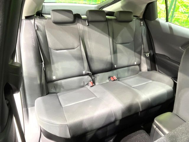 �㕔���Ȃ��C�ɂȂ�悤�ȃL�Y�E�����ւ��蓙�A�傫�ȃ_���[�W�͂Ȃ��A�ǍD�ȏ�Ԃł��B