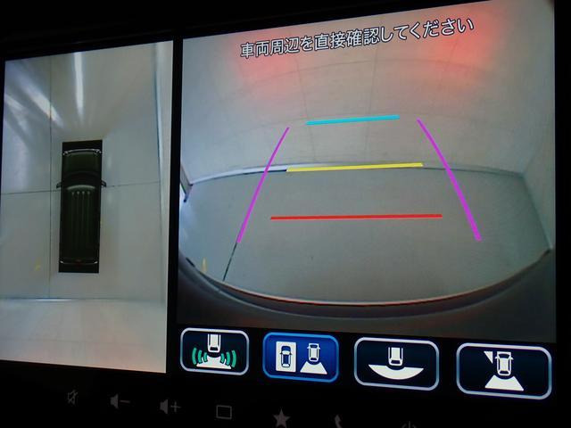 ハスラータフワイルド