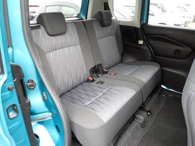 �㕔���Ȃ��傫�ȎC����Ȃ���ԗǍD�ł��B