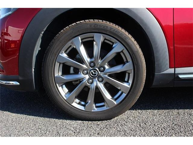 ���Ǝҗl�ւ̔̔��͂��f�肳���Ă��������܂��B �Ԍ������ԗ��̏ꍇ�́A�Ԍ����擾�������x�������z�ŕ\�����Ă���܂��B