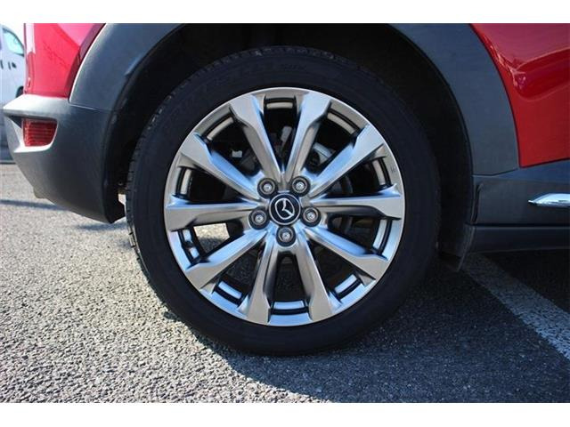 ���Ǝҗl�ւ̔̔��͂��f�肳���Ă��������܂��B �Ԍ������ԗ��̏ꍇ�́A�Ԍ����擾�������x�������z�ŕ\�����Ă���܂��B