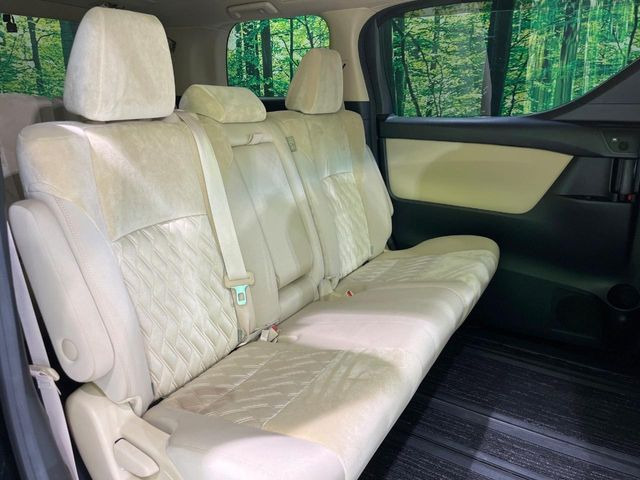 �㕔���Ȃ��C�ɂȂ�悤�ȃL�Y�E�����ւ��蓙�A�傫�ȃ_���[�W�͂Ȃ��A�ǍD�ȏ�Ԃł��B