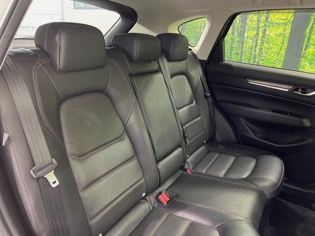 �㕔���Ȃ��C�ɂȂ�悤�ȃL�Y�E�����ւ��蓙�A�傫�ȃ_���[�W�͂Ȃ��A�ǍD�ȏ�Ԃł��B