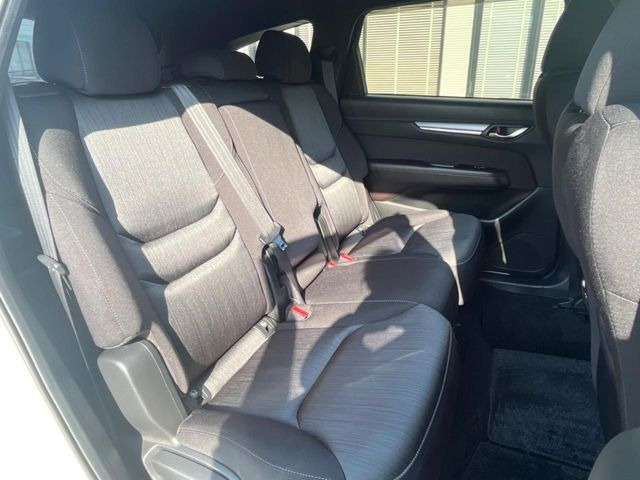 �㕔���Ȃ��C�ɂȂ�悤�ȃL�Y�E�����ւ��蓙�A�傫�ȃ_���[�W�͂Ȃ��A�ǍD�ȏ�Ԃł��B