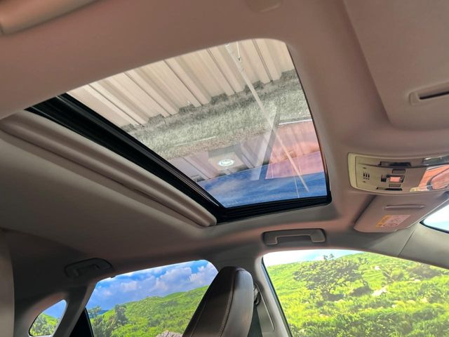 �y�T�����[�t�z�J���������Ղ�̊󏭑����A�T�����[�t����������Ă��܂�!�ԓ��ɖ�����������ꂽ��i�F���y���ވȊO�ɂ��A�ԓ��̋�C���ȒP�Ɋ��C�ł��ĉ��K�ł�!