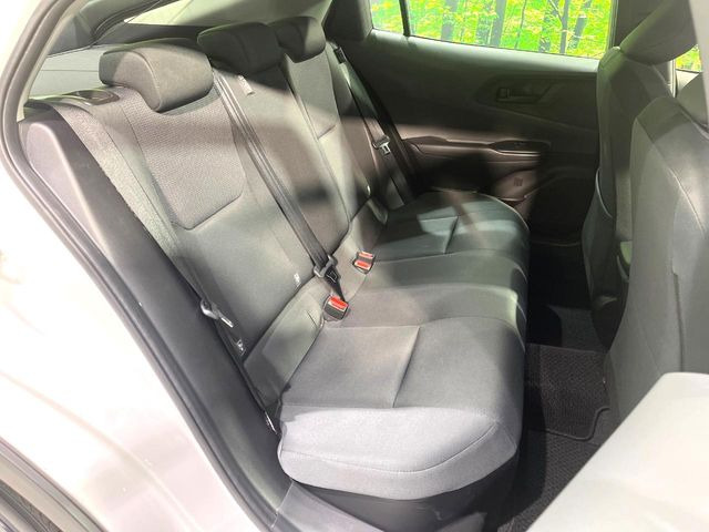 �㕔���Ȃ��C�ɂȂ�悤�ȃL�Y�E�����ւ��蓙�A�傫�ȃ_���[�W�͂Ȃ��A�ǍD�ȏ�Ԃł��B