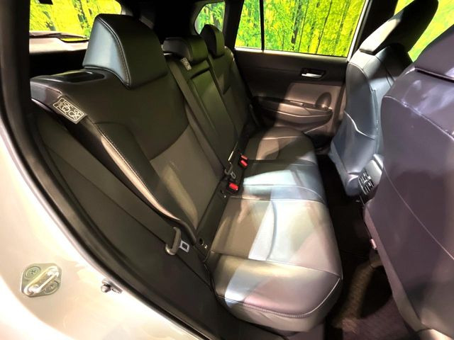 �㕔���Ȃ��C�ɂȂ�悤�ȃL�Y�E�����ւ��蓙�A�傫�ȃ_���[�W�͂Ȃ��A�ǍD�ȏ�Ԃł��B