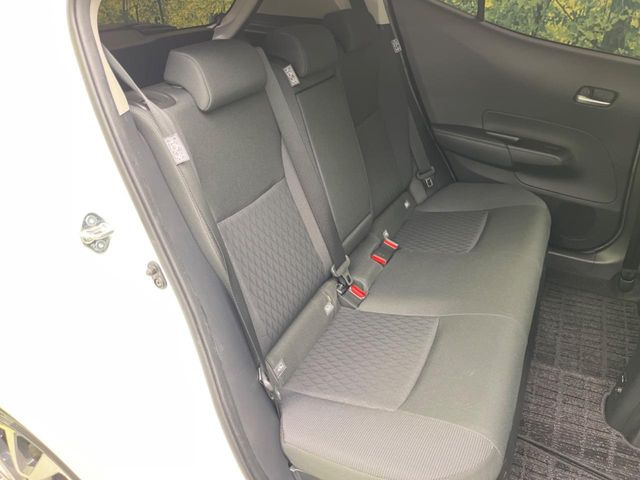 �㕔���Ȃ��C�ɂȂ�悤�ȃL�Y�E�����ւ��蓙�A�傫�ȃ_���[�W�͂Ȃ��A�ǍD�ȏ�Ԃł��B