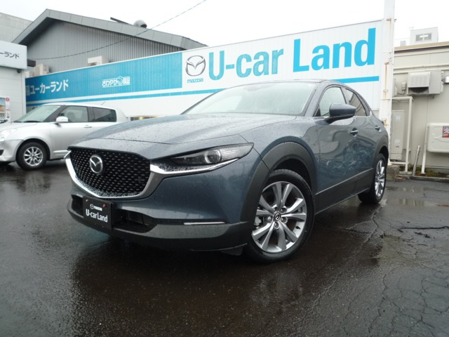 CX-302.0 20S プロアクティブ ツーリングセレクション 4WD