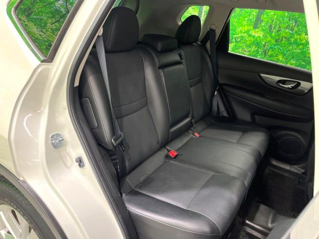 �㕔���Ȃ��C�ɂȂ�悤�ȃL�Y�E�����ւ��蓙�A�傫�ȃ_���[�W�͂Ȃ��A�ǍD�ȏ�Ԃł��B