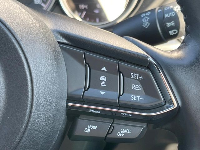 �y�}�c�_�E���[�_�[�N���[�Y�R���g���[���z�������H�ł̒��������s���y��!�����ő��x��ۂN���[�Y�R���g���[�����A�Փˌy���V�X�e���ƘA�g���A�O���̎ԗ������m���ĎԊԂ�ۂ悤�ɑ��x���߂��Ă���܂�!!