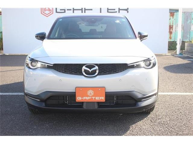 ���Ǝҗl�ւ̔̔��͂��f�肳���Ă��������܂��B �Ԍ������ԗ��̏ꍇ�́A�Ԍ����擾�������x�������z�ŕ\�����Ă���܂��B