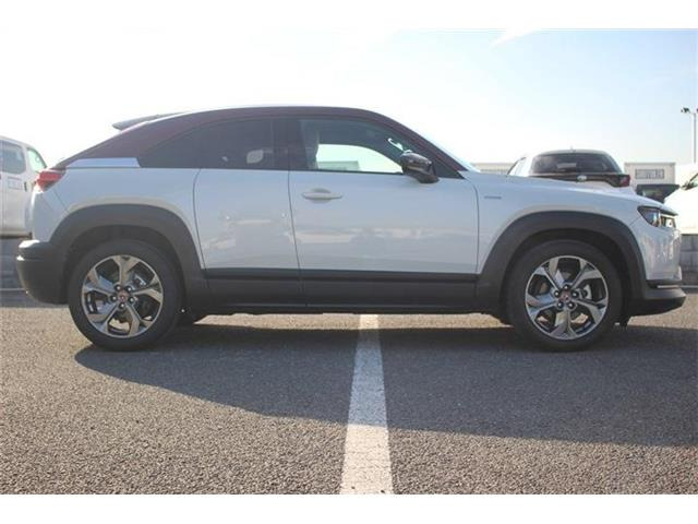 ���Ǝҗl�ւ̔̔��͂��f�肳���Ă��������܂��B �Ԍ������ԗ��̏ꍇ�́A�Ԍ����擾�������x�������z�ŕ\�����Ă���܂��B