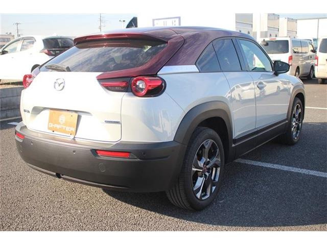 ���Ǝҗl�ւ̔̔��͂��f�肳���Ă��������܂��B �Ԍ������ԗ��̏ꍇ�́A�Ԍ����擾�������x�������z�ŕ\�����Ă���܂��B