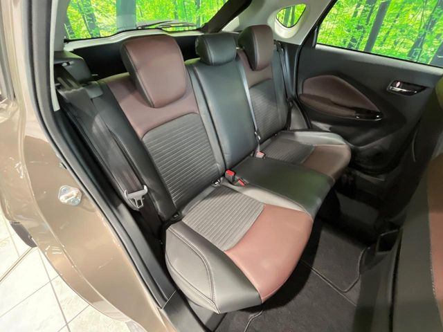 �㕔���Ȃ��C�ɂȂ�悤�ȃL�Y�E�����ւ��蓙�A�傫�ȃ_���[�W�͂Ȃ��A�ǍD�ȏ�Ԃł��B