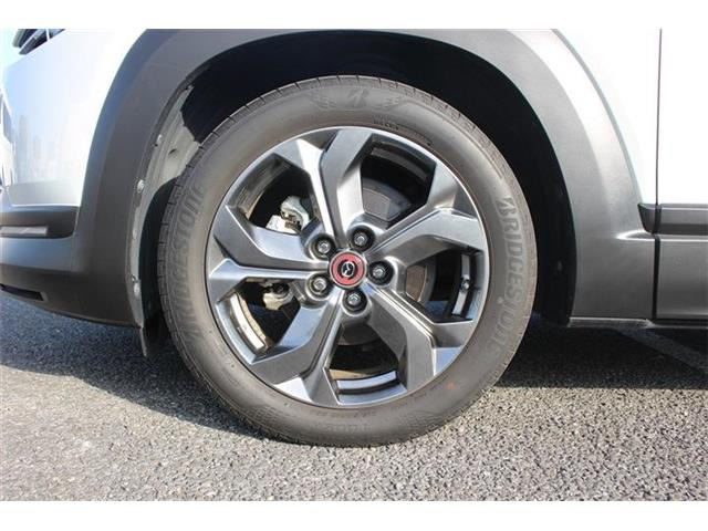 ���Ǝҗl�ւ̔̔��͂��f�肳���Ă��������܂��B �Ԍ������ԗ��̏ꍇ�́A�Ԍ����擾�������x�������z�ŕ\�����Ă���܂��B