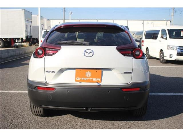 ���Ǝҗl�ւ̔̔��͂��f�肳���Ă��������܂��B �Ԍ������ԗ��̏ꍇ�́A�Ԍ����擾�������x�������z�ŕ\�����Ă���܂��B