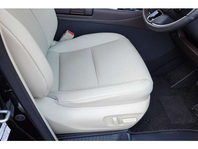 �^�]�ȁE�傫�Ȃ����ւ���Ȃǖ������ꂢ�ȏ�Ԃł��B