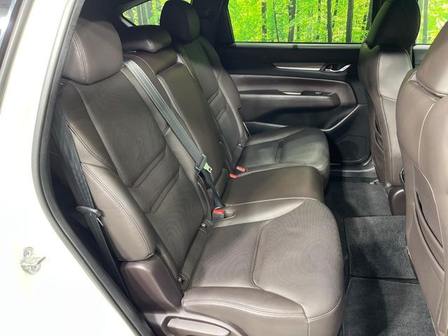 �㕔���Ȃ��C�ɂȂ�悤�ȃL�Y�E�����ւ��蓙�A�傫�ȃ_���[�W�͂Ȃ��A�ǍD�ȏ�Ԃł��B