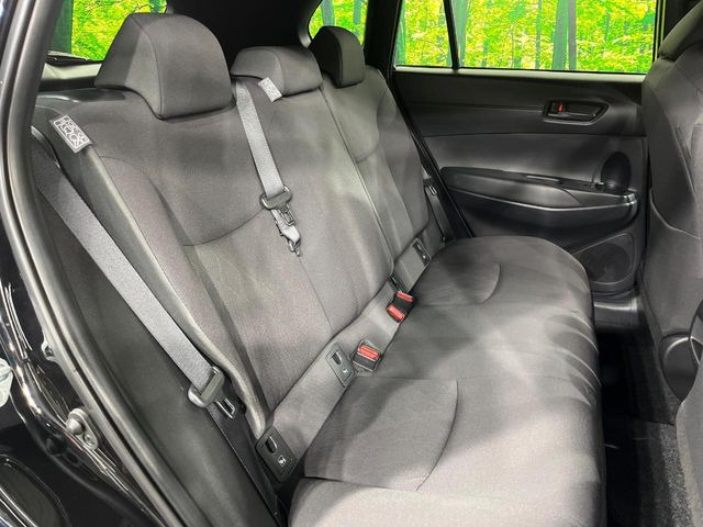 �㕔���Ȃ��C�ɂȂ�悤�ȃL�Y�E�����ւ��蓙�A�傫�ȃ_���[�W�͂Ȃ��A�ǍD�ȏ�Ԃł��B