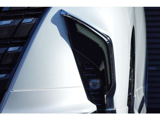 �y�I�v�V�����z���f���X�^�E�V�O�l�C�`���[�C���~�u���[�h�B