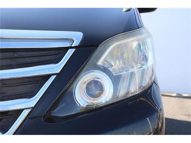 ���Ǝҗl�ւ̔̔��͂��f�肳���Ă��������܂��B �Ԍ������ԗ��̏ꍇ�́A�Ԍ����擾�������x�������z�ŕ\�����Ă���܂��B