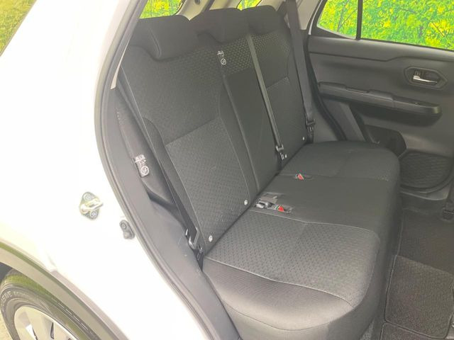 �㕔���Ȃ��C�ɂȂ�悤�ȃL�Y�E�����ւ��蓙�A�傫�ȃ_���[�W�͂Ȃ��A�ǍD�ȏ�Ԃł��B