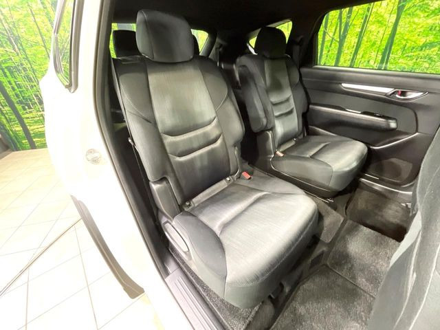 �㕔���Ȃ��C�ɂȂ�悤�ȃL�Y�E�����ւ��蓙�A�傫�ȃ_���[�W�͂Ȃ��A�ǍD�ȏ�Ԃł��B