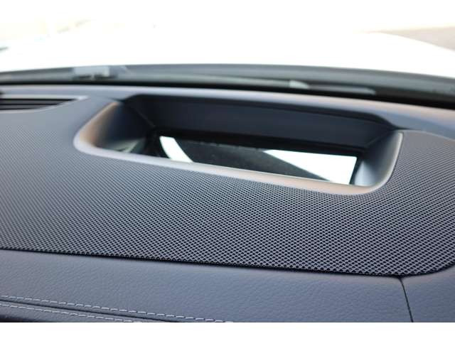 �w�b�h�A�b�v�f�B�X�v���C(���s�ɕK�v�ȏ����t�����g�K���X�ɉf���o���܂�)