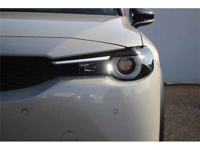 ���Ǝҗl�ւ̔̔��͂��f�肳���Ă��������܂��B �Ԍ������ԗ��̏ꍇ�́A�Ԍ����擾�������x�������z�ŕ\�����Ă���܂��B