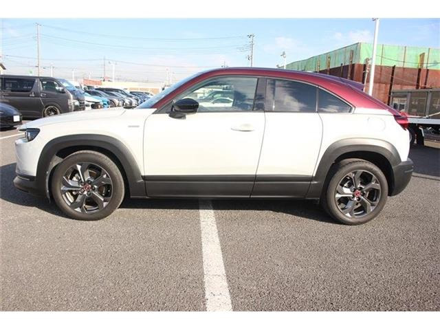 ���Ǝҗl�ւ̔̔��͂��f�肳���Ă��������܂��B �Ԍ������ԗ��̏ꍇ�́A�Ԍ����擾�������x�������z�ŕ\�����Ă���܂��B