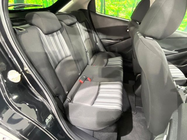 �㕔���Ȃ��C�ɂȂ�悤�ȃL�Y�E�����ւ��蓙�A�傫�ȃ_���[�W�͂Ȃ��A�ǍD�ȏ�Ԃł��B