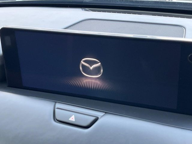 �yBOSE�T�E���h�V�X�e���t������12.3�C���`�i�r�z�[���̃i�r�@�\�͂������A���x�ȃ`���[�j���O�\�͂����ڂ���Ă���A�������ȉ��y�����y���݂��������܂���