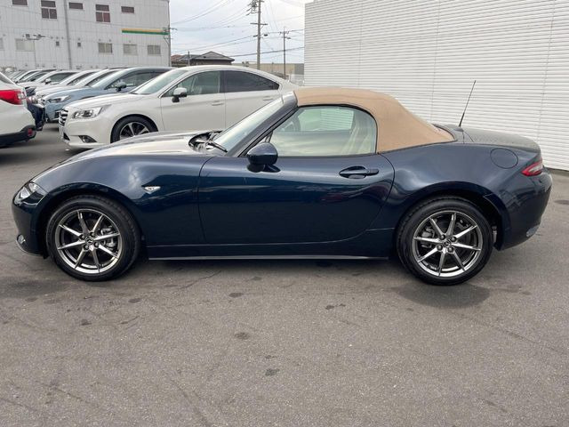 ���S���̃l�N�X�e�[�W���炨���񂹂��\��!�����̓X�܂ɓW�����Ă���N���}���C�ɂȂ�ꍇ���A�Ŋ��̓X�܂ł��������������Ƃ��\�ł�!���񎄂����ɗv�]������������������!���ʓr��p