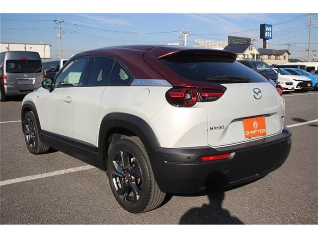 ���Ǝҗl�ւ̔̔��͂��f�肳���Ă��������܂��B �Ԍ������ԗ��̏ꍇ�́A�Ԍ����擾�������x�������z�ŕ\�����Ă���܂��B