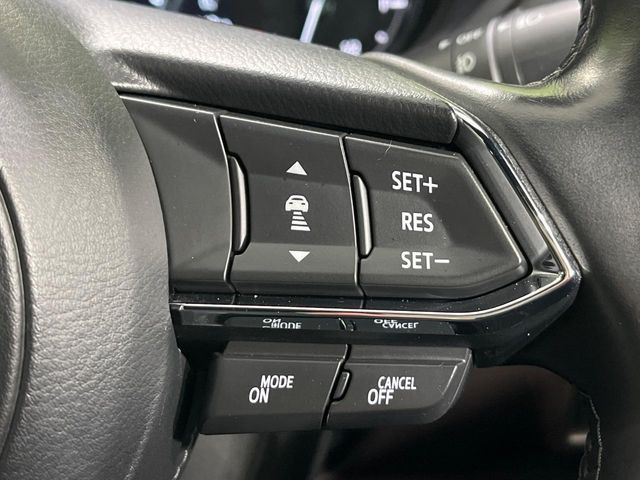 �y�}�c�_�E���[�_�[�N���[�Y�R���g���[���z�������H�ł̒��������s���y��!�����ő��x��ۂN���[�Y�R���g���[�����A�Փˌy���V�X�e���ƘA�g���A�O���̎ԗ������m���ĎԊԂ�ۂ悤�ɑ��x���߂��Ă���܂�!!