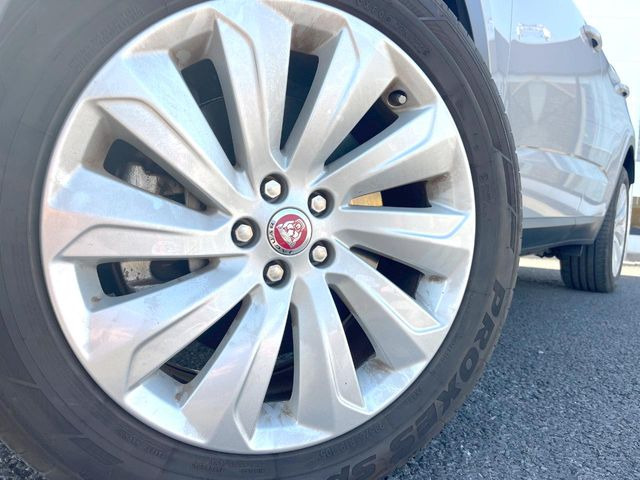 ������19�C���`�A���~�z�C�[��:�A���ԂȂ�ł͂̑�z����������x����z�C�[���Ƒ����ł�!���{�Ԃ̑���Ɋ���Ă�����ɂ����Б̊����Ē��������قǁA�������x���ł܂Ƃ܂��Ă��܂�!