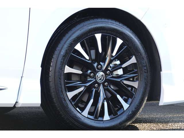 �y�I�v�V�����z�؍���P+�u���b�N�h��19�C���`�A���~�z�C�[���B