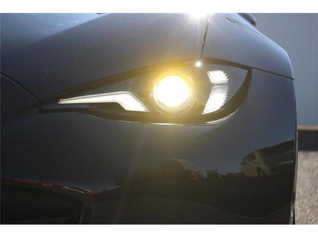 ���Ǝҗl�ւ̔̔��͂��f�肳���Ă��������܂��B �Ԍ������ԗ��̏ꍇ�́A�Ԍ����擾�������x�������z�ŕ\�����Ă���܂��B