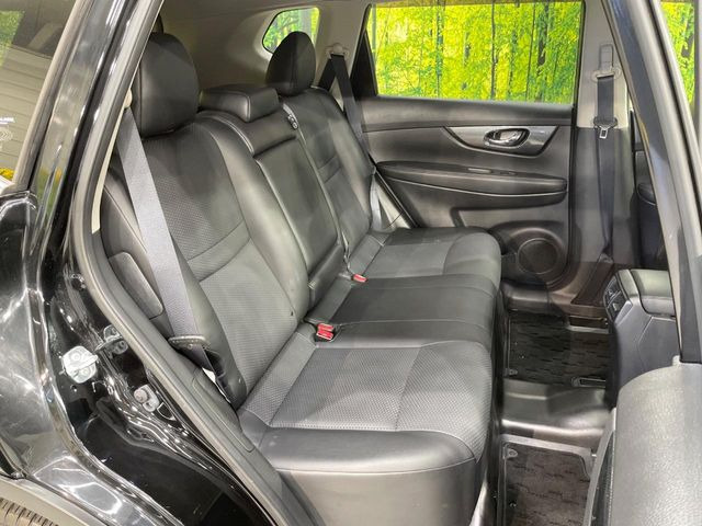 �㕔���Ȃ��C�ɂȂ�悤�ȃL�Y�E�����ւ��蓙�A�傫�ȃ_���[�W�͂Ȃ��A�ǍD�ȏ�Ԃł��B