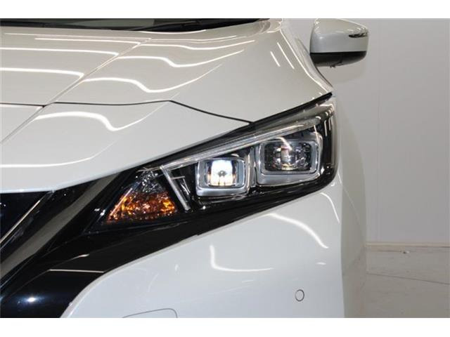 ���Ǝҗl�ւ̔̔��͂��f�肳���Ă��������܂��B �Ԍ������ԗ��̏ꍇ�́A�Ԍ����擾�������x�������z�ŕ\�����Ă���܂��B