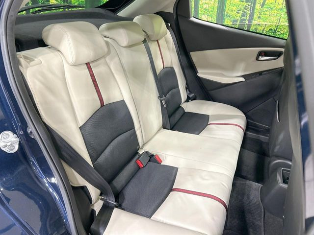 �㕔���Ȃ��C�ɂȂ�悤�ȃL�Y�E�����ւ��蓙�A�傫�ȃ_���[�W�͂Ȃ��A�ǍD�ȏ�Ԃł��B