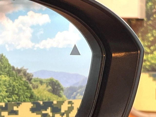 �y������p���m�z���s���A�h�A�~���[�̎��p�ɂȂ�₷���ӏ��Ɍ㑱�Ԃ��ڋ߂���ƃT�C�h�~���[�t�߂Ɍx����\���A�h���C�o�[�ɒ��ӊ��N�����Ă���܂��B