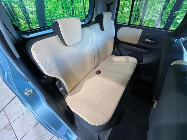 �㕔���Ȃ��C�ɂȂ�悤�ȃL�Y�E�����ւ��蓙�A�傫�ȃ_���[�W�͂Ȃ��A�ǍD�ȏ�Ԃł��B